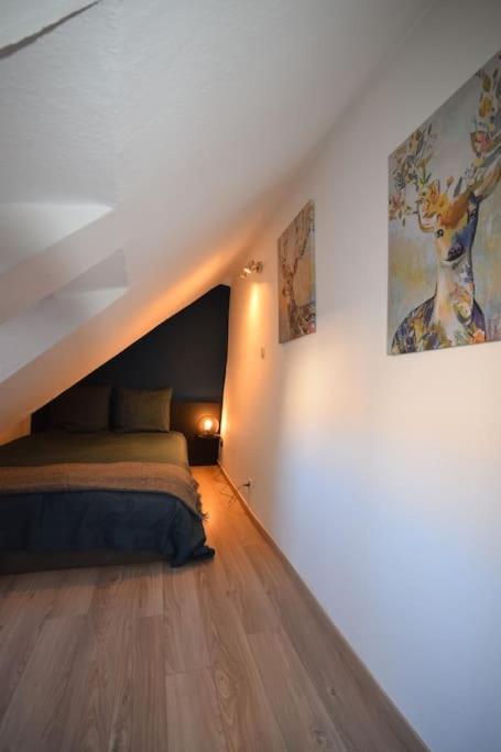 Le Studio Du Quai Des Pecheurs - Charmant Duplex Sur Les Quais Strasbourg Exterior photo