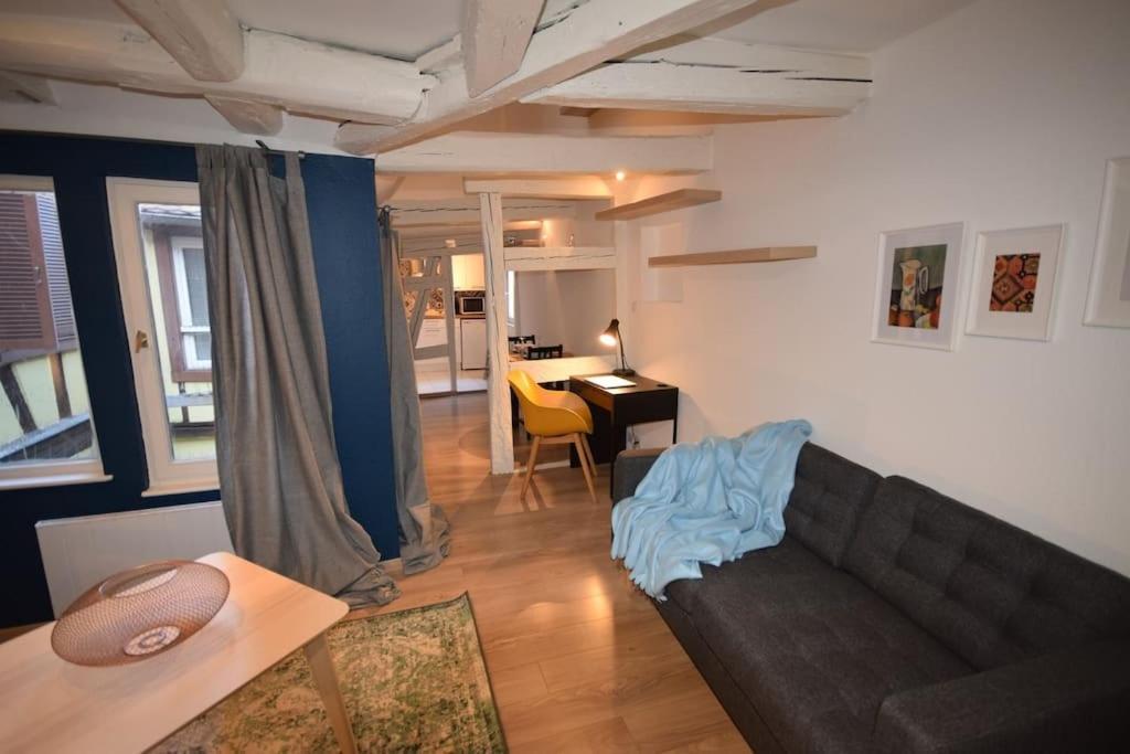 Le Studio Du Quai Des Pecheurs - Charmant Duplex Sur Les Quais Strasbourg Exterior photo